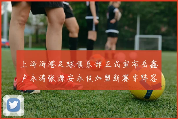 上海海港足球俱乐部正式宣布岳鑫卢永涛张源安永佳加盟新赛季阵容更新